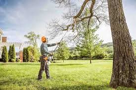 Best Tree Health Inspection  in Alondra Park, CA